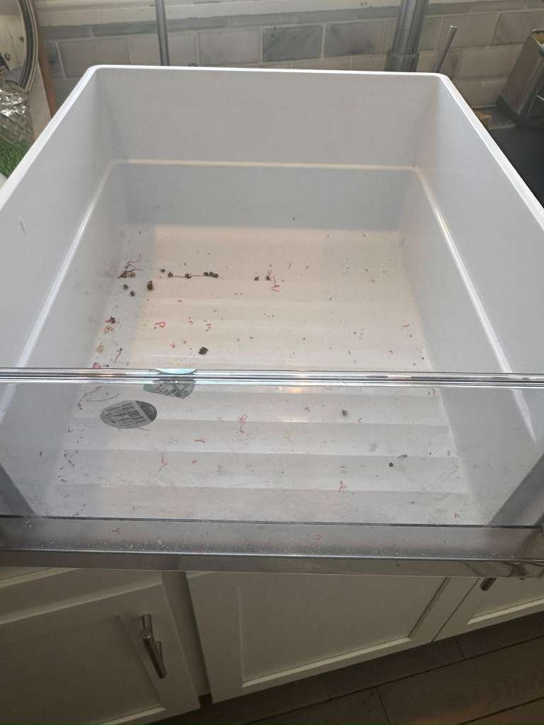 WhatsApp Image 2026-03-18 at 18.09.31 (3)