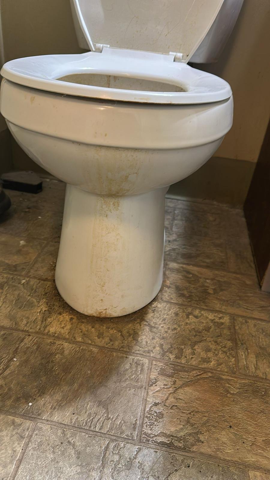 WhatsApp Image 2026-03-18 at 18.18.21 (1)