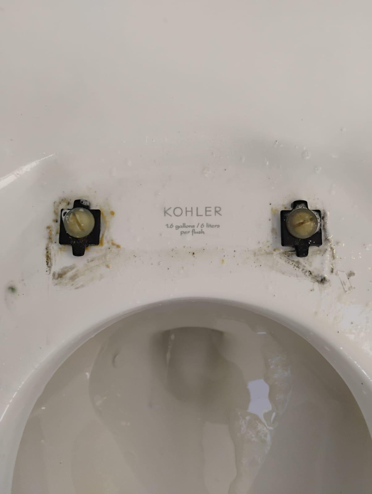 WhatsApp Image 2026-03-18 at 18.26.45 (1)