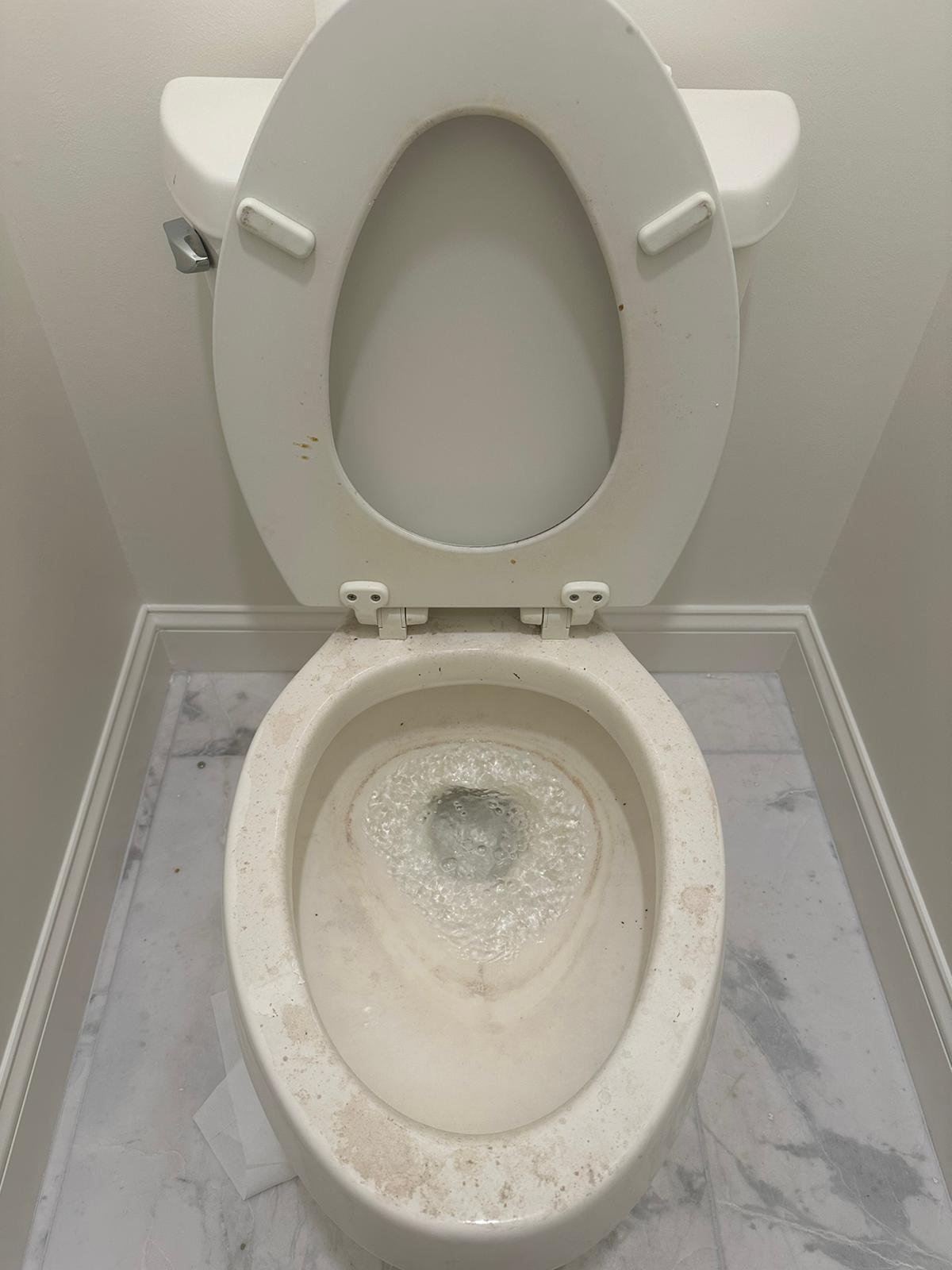 WhatsApp Image 2026-03-18 at 18.35.21 (1)