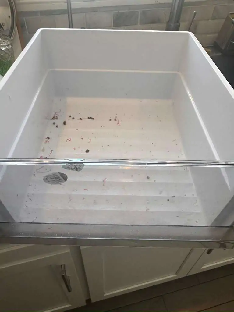 WhatsApp Image 2026-03-18 at 18.09.31 (3)