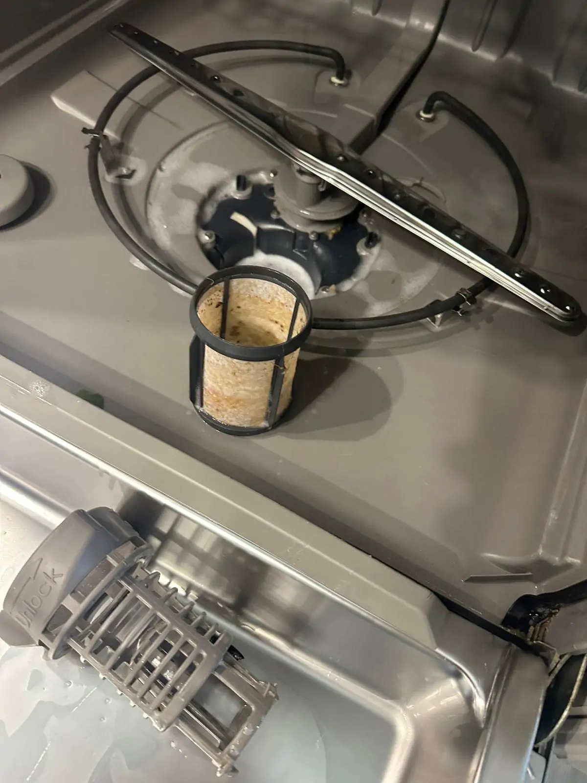 WhatsApp Image 2026-03-18 at 18.12.41