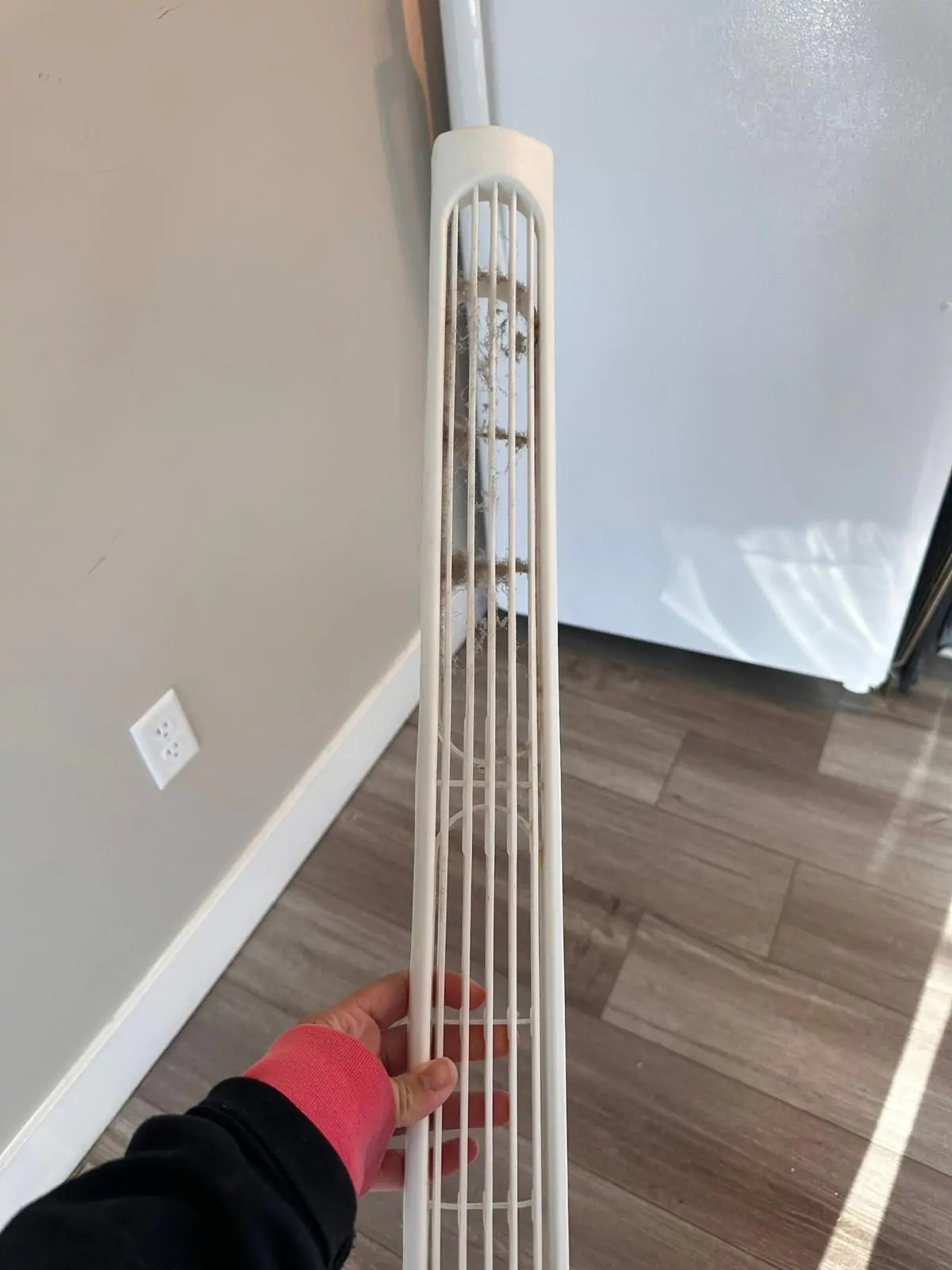 WhatsApp Image 2026-03-18 at 18.22.07 (5)