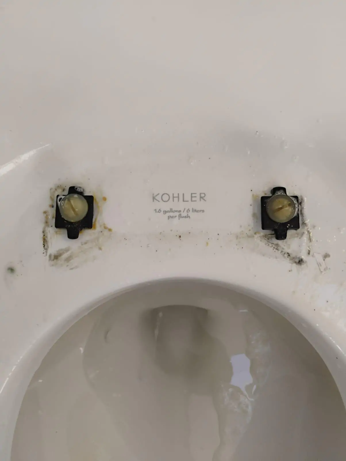 WhatsApp Image 2026-03-18 at 18.26.45 (1)