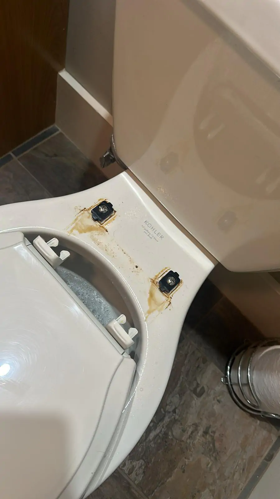 WhatsApp Image 2026-03-18 at 18.35.16 (1)