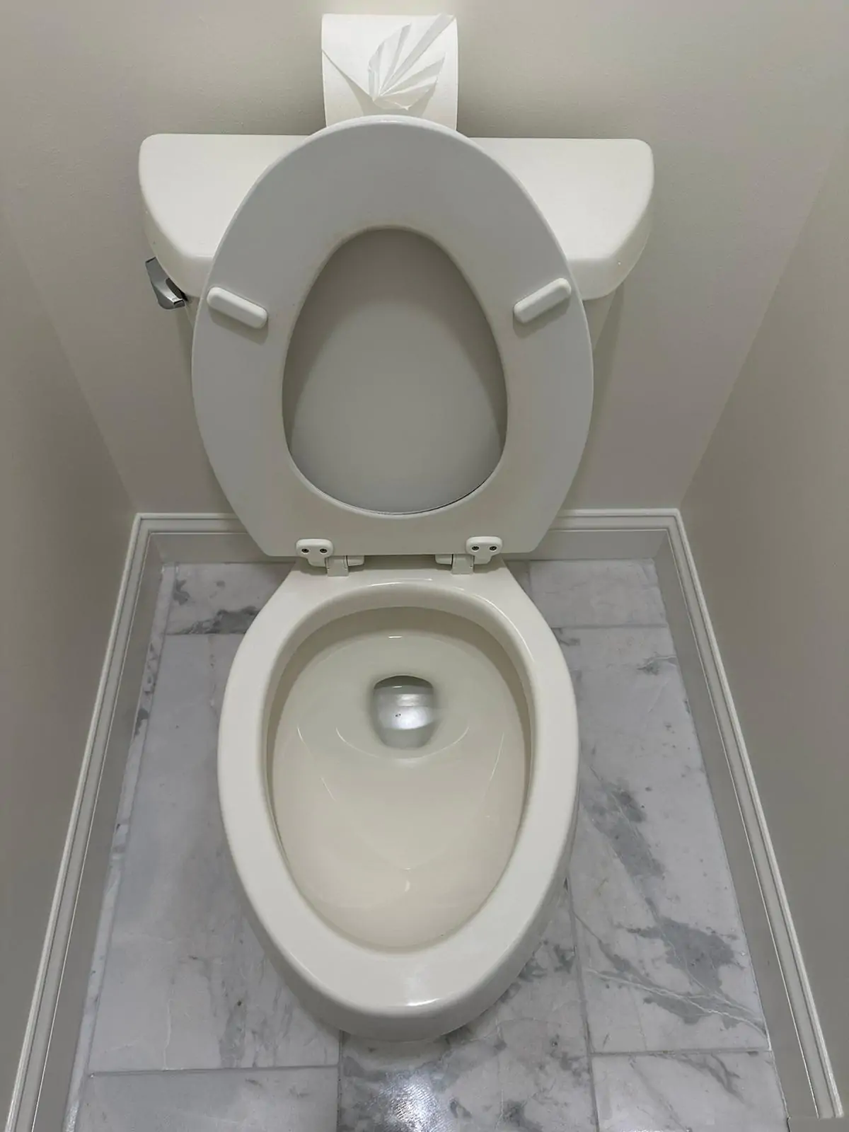 WhatsApp Image 2026-03-18 at 18.35.21